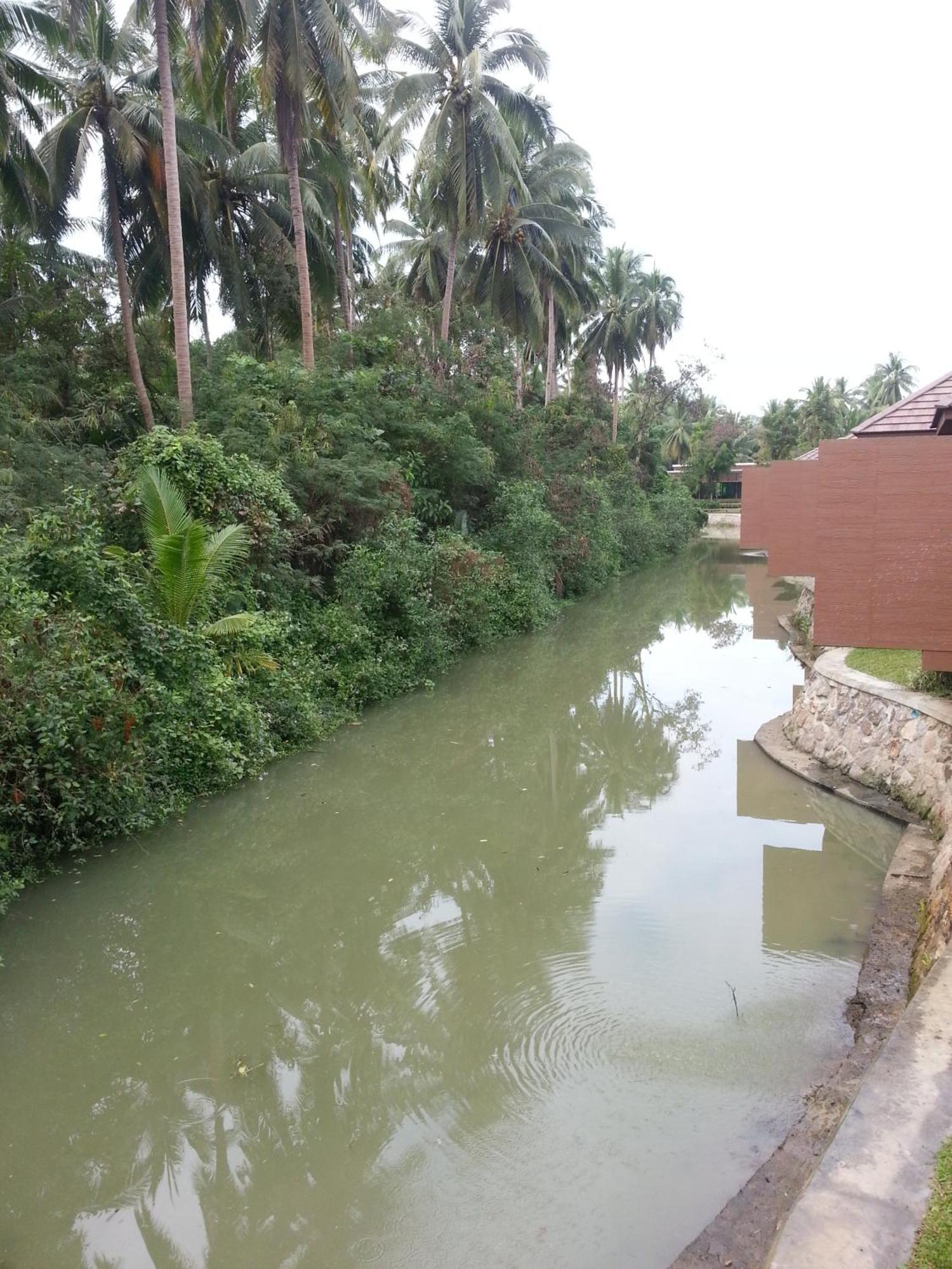 The Grace Amphawa Hotell Samut Songkhram Rum bild